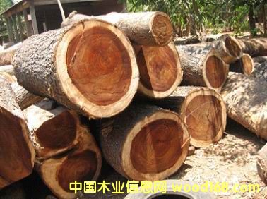 D黨MڈP cɷŴ