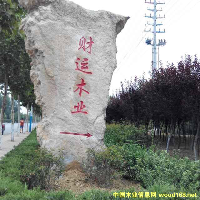 圖：財運木業 點擊可放大