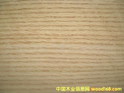 c鿴Red oakŴDƬ