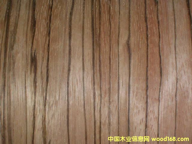 c鿴Zebra woodŴDƬ