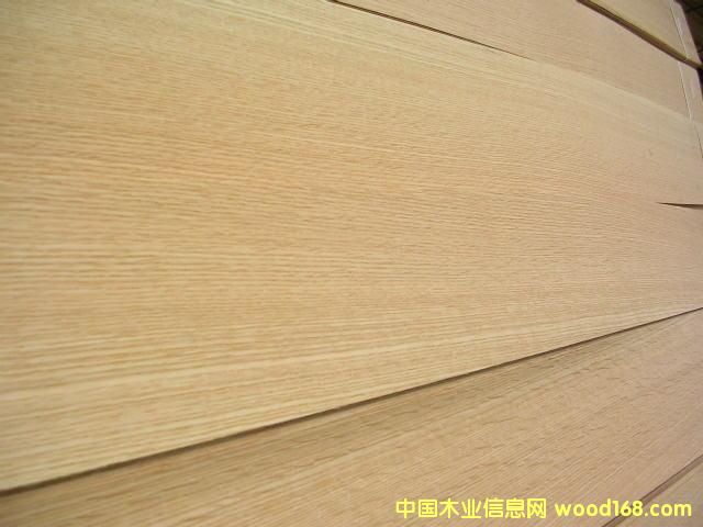 c鿴White oakŴDƬ