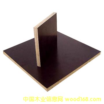 膠合板小圖