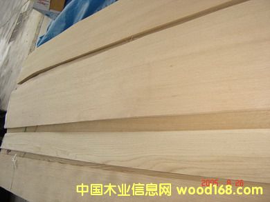 c鿴Chinese Oak (Q/C)ŴDƬ