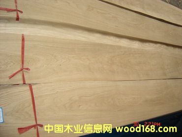 c鿴Chinese Oak (C/C)ŴDƬ