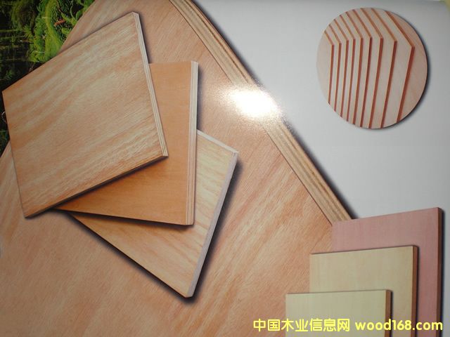 c鿴ľŴDƬ