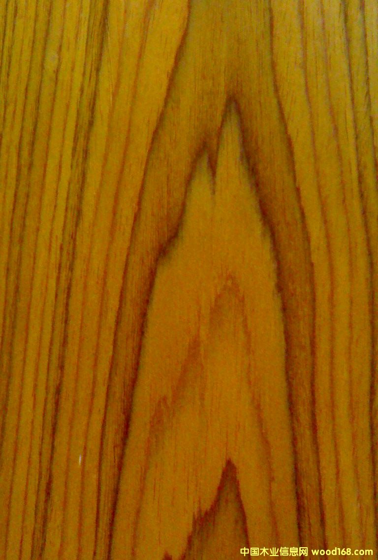 ľԔ(x)B