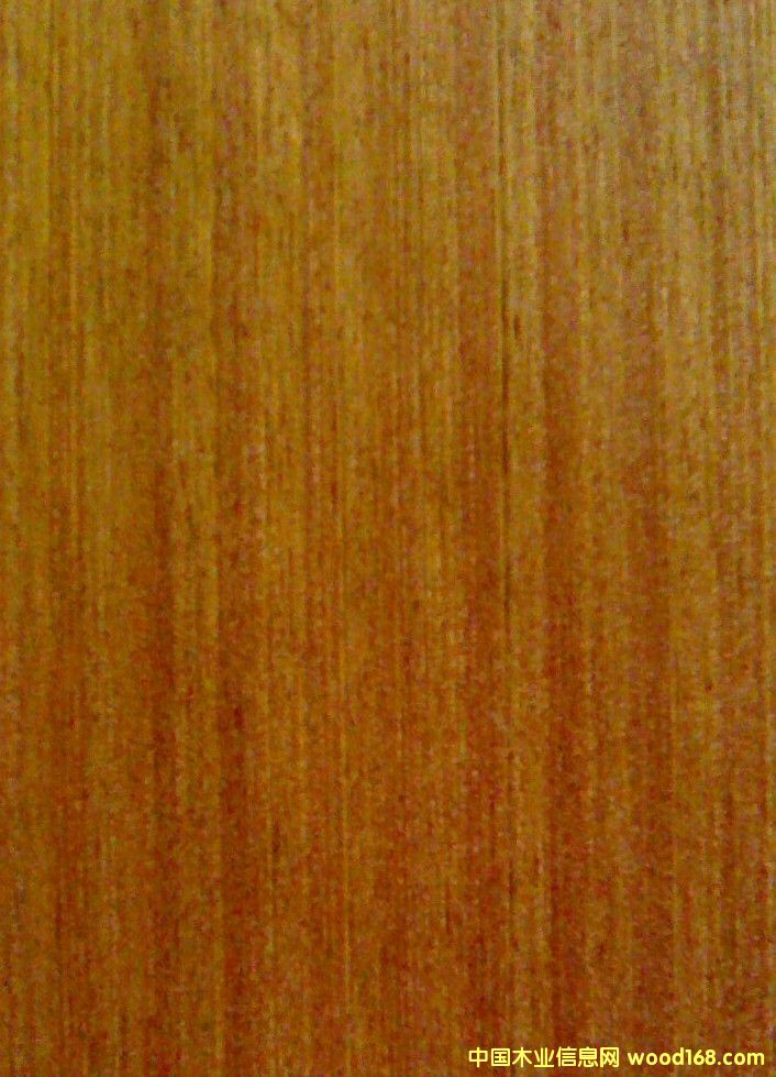 ɳֱy