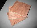 bintangoo face/back,poplar ply