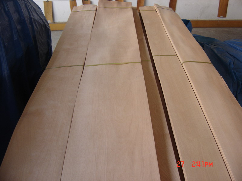 c鿴Chinese Cherry(Crown Cut)ŴDƬ