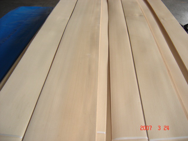 c鿴Steamed Beech veneerŴDƬ