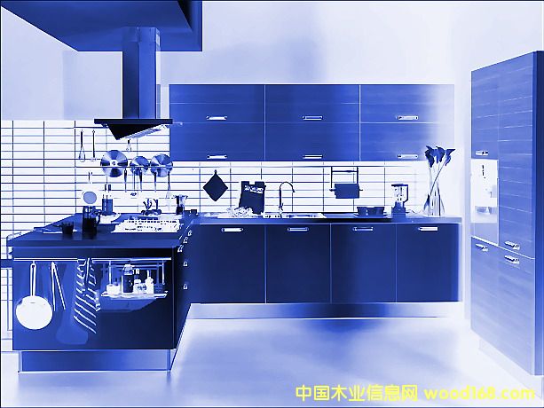ᡣPVC塣ľ