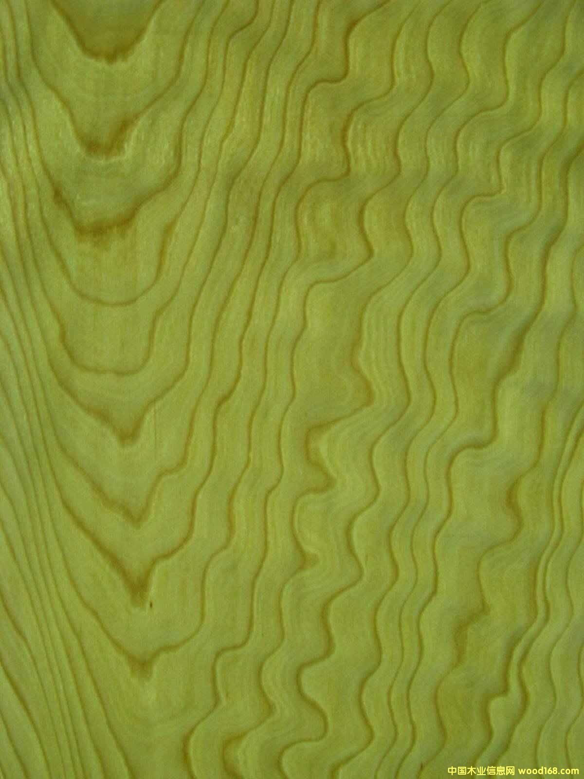 ľľƤ