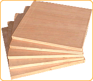 PLYWOODԔ(x)B