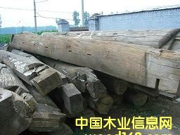 c鿴ľŴDƬ
