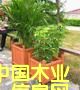 c鿴@־^ľŴDƬ