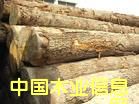 ľM(jn)麣P(gun)/麣M(jn)ľP(gun)/麣ľĈP(gun)