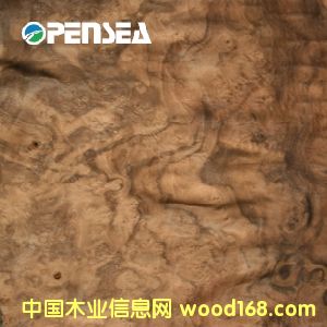 黑胡桃樹榴木皮