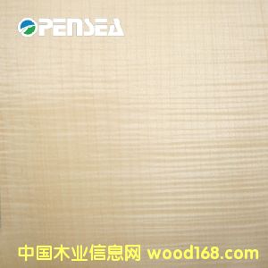 白影木皮