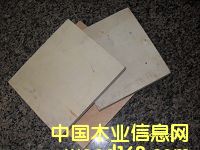 9-18壬Ӱ