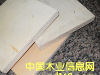 9-18壬Ӱ