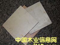 9-18壬Ӱ