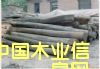 山東老榆木