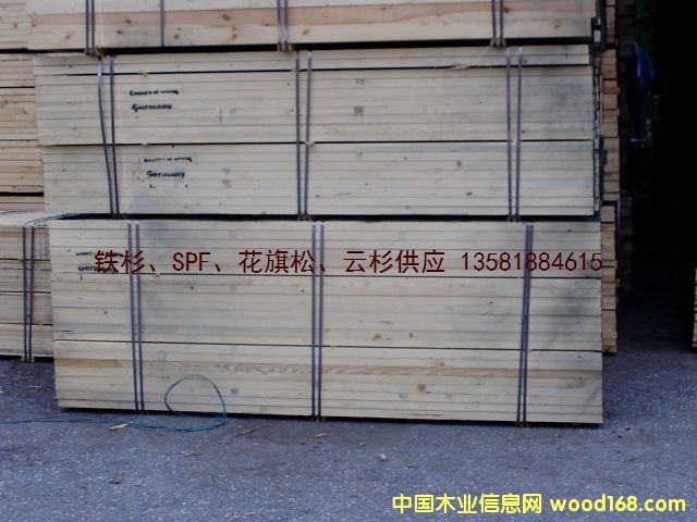 c鿴W  ɼ spruce ķŴDƬ