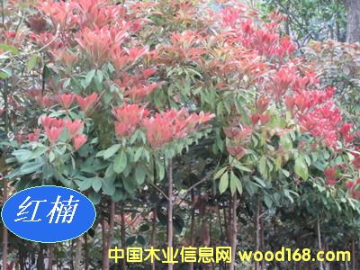 [] ľ(li)N磨}骡E骡С~骡骡ٻ骡t骣