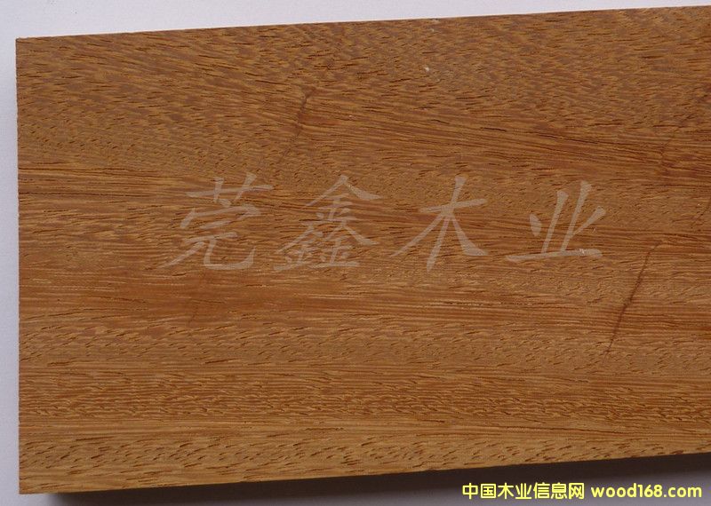 ̩ԔB