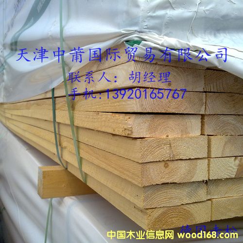 赤松的詳細介紹