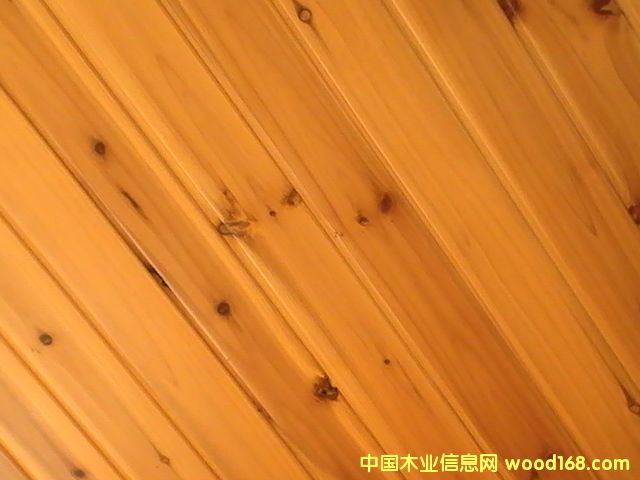桢ڰ