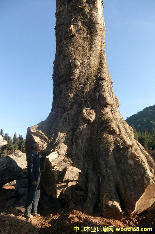ľԔ(x)B