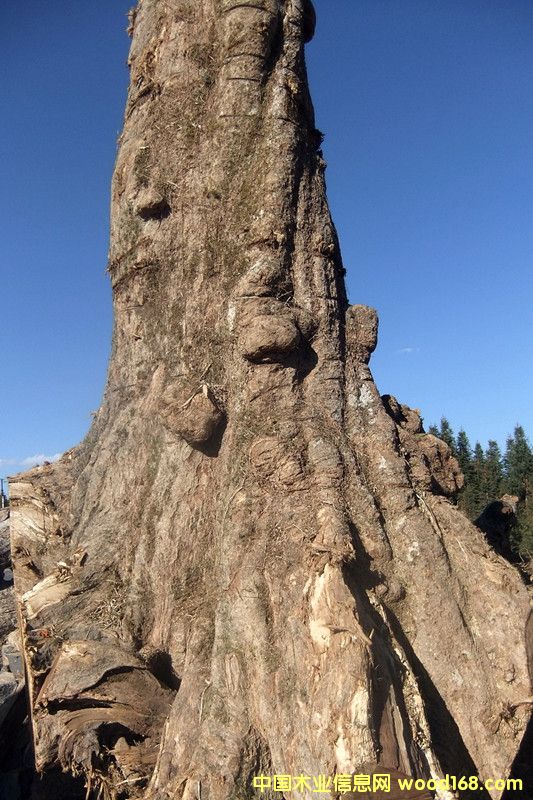 ľԔ(x)B