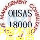 c鿴OHSAS18001IȫwϵJCԔY