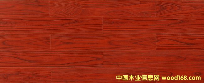 (qing)ذT204¶