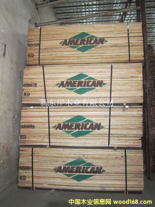 軟楓-American