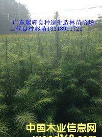 c鿴ɼŴDƬ