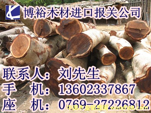 c鿴MڈPŴDƬ