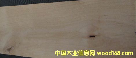 赤楊的詳細介紹
