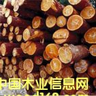 c鿴FB-1ŴDƬ
