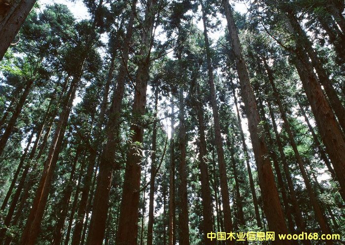 c鿴ɼľַŴDƬ