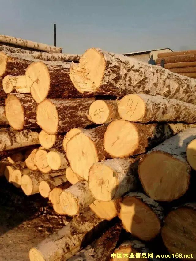 _˹ľԭľԔB