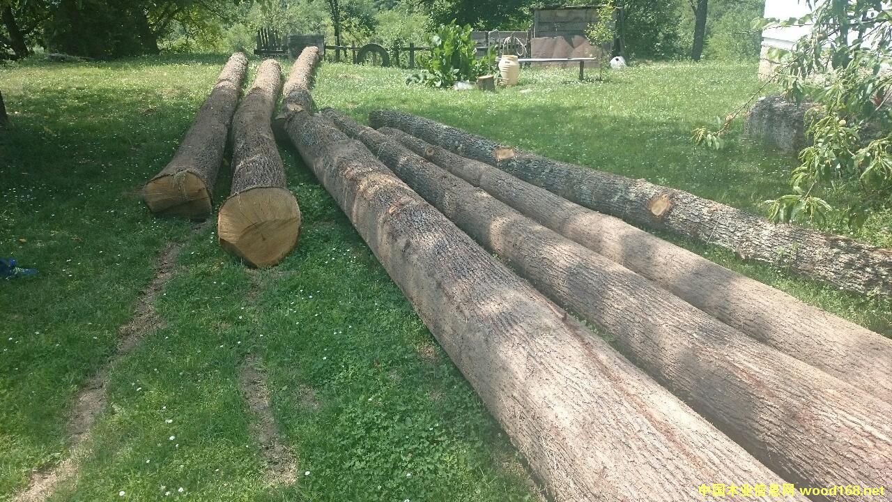 ľԭľԔB