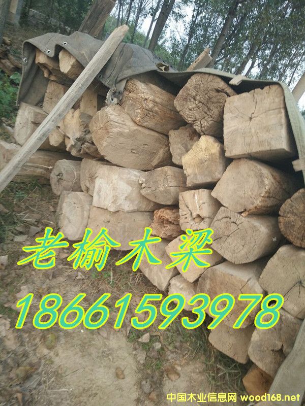 老榆木03的詳細介紹