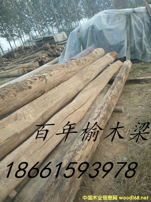 老榆木基地的詳細介紹
