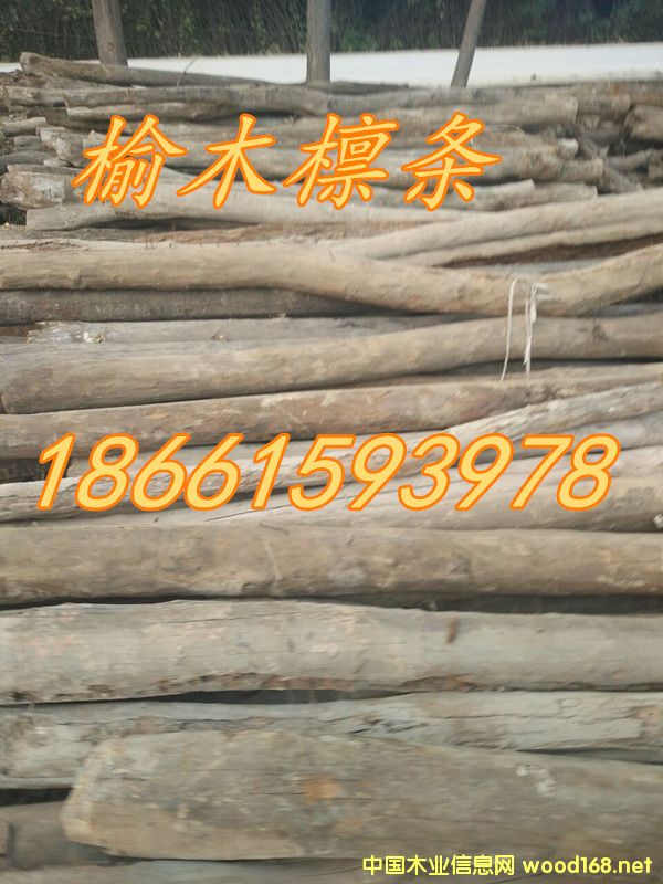 老榆木--的詳細介紹