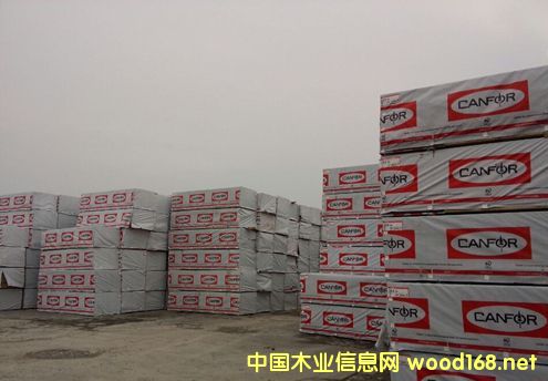 Canfor板材 加福板材