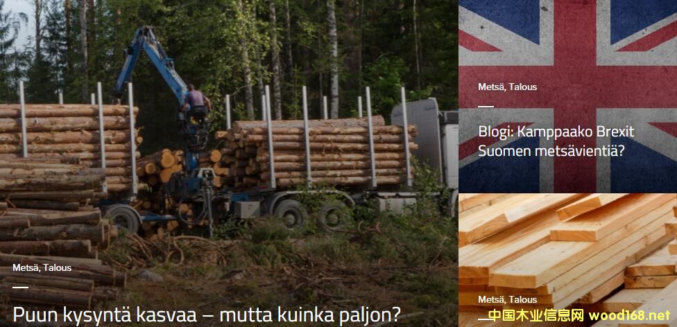 mľĘI(y)ڿ׃Ј