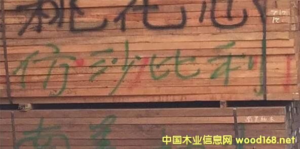 ޲Ј^죺ɳ؛D