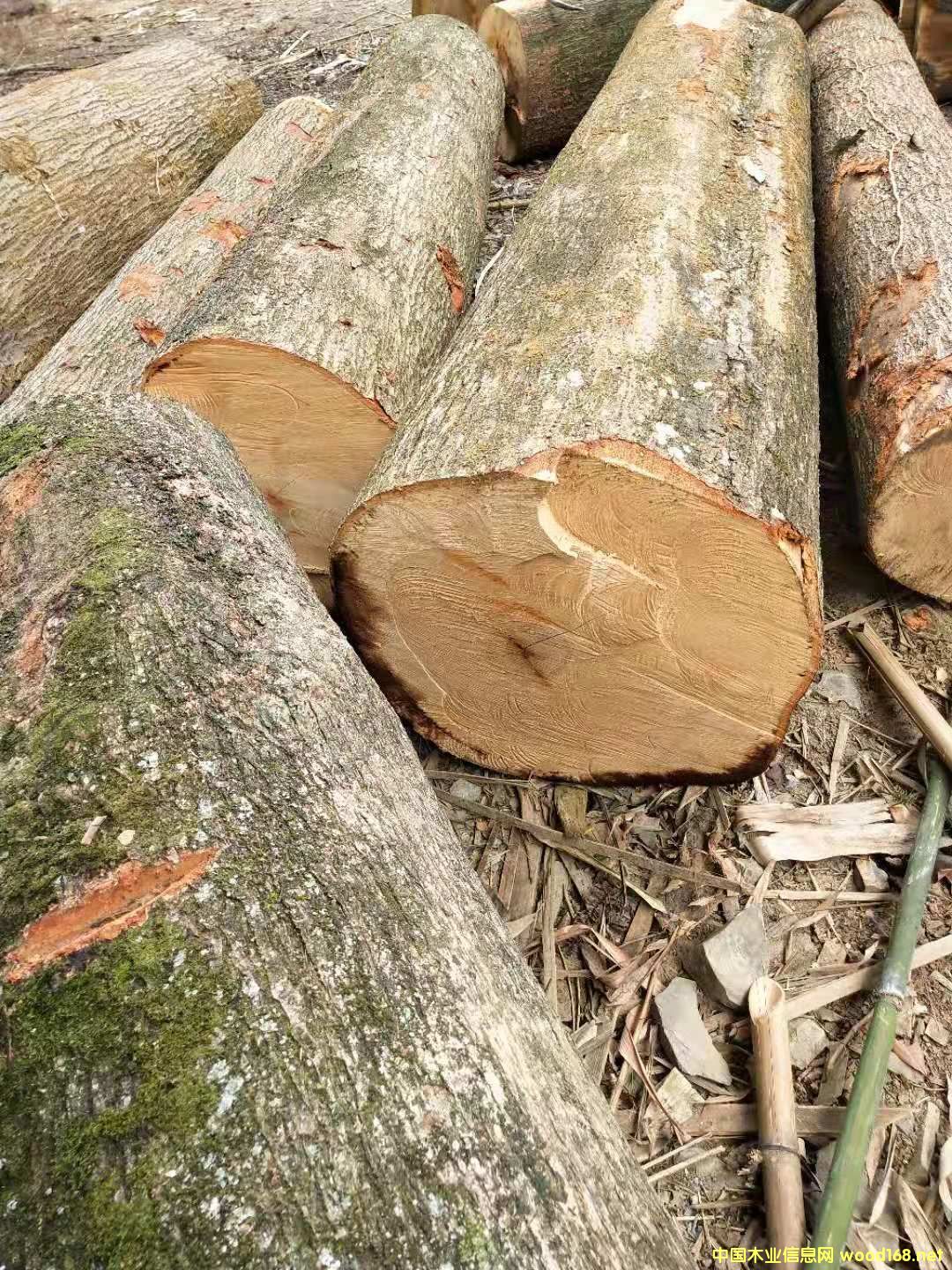 ľ